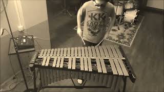 grega gorenšek - michel camilo's ''suntan'' live on metallophone / whole piece one take training