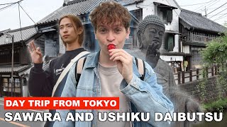 Sawara's Edo Town, Strawberry Farm, Ushiku Daibutsu - Day Trip from Tokyo with Sora // ENG, UA sub