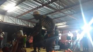 Xidawuzeni sycology at xikundu