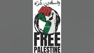 Palestina Menangis TikTok Music [30 MIN LOOP]