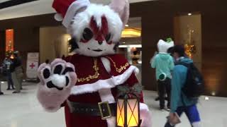 Midwest Furfest 2021 - An Intergalactic Adventure (PART TWO)