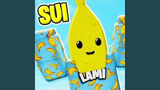 Video voorbeeld van "LAMI - SUI"