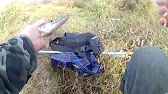 Рыбалка Наше Всё