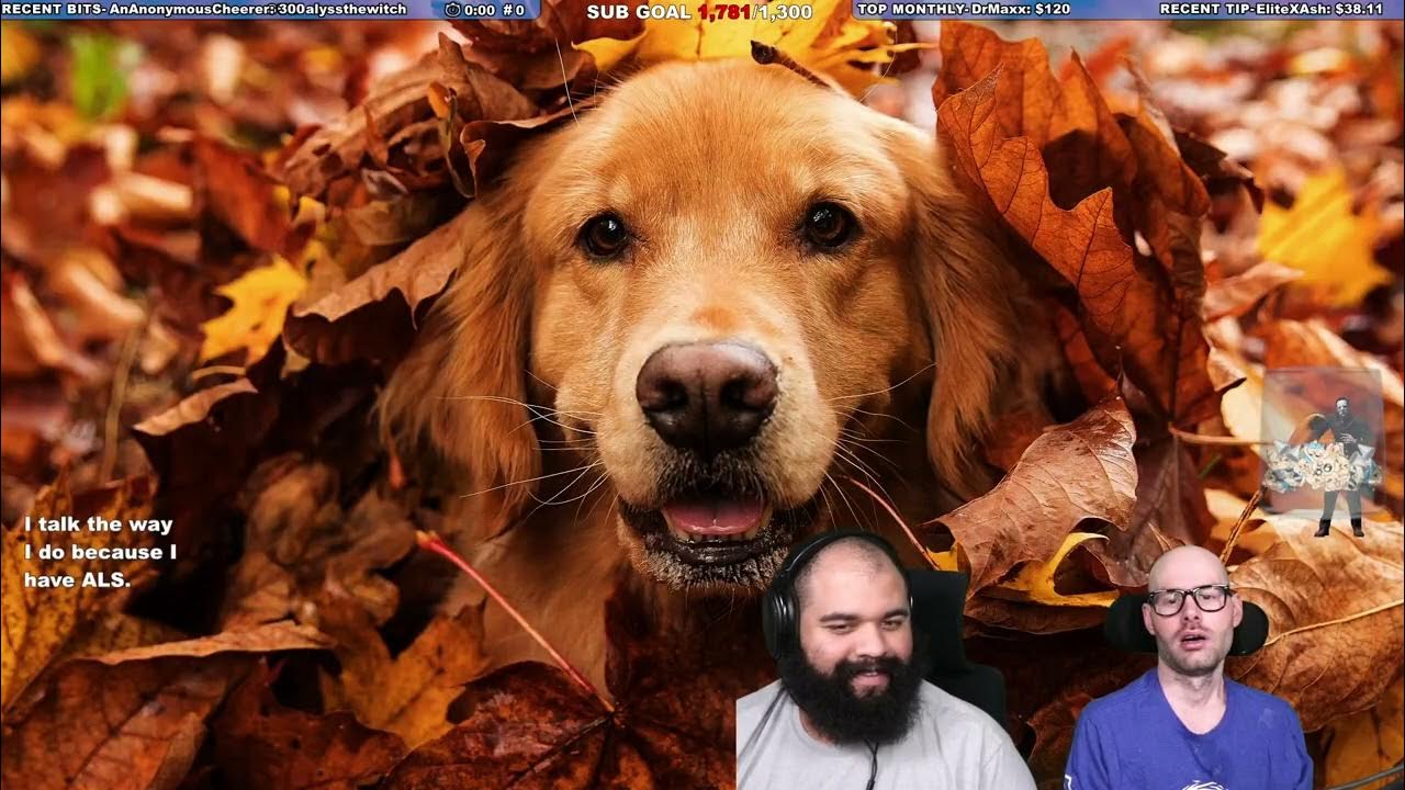 Puppers VS The Knight Stream! Dead By Daylight YouTube