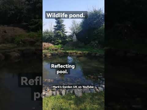 Video: Reflecterende zwembadinformatie: waarom een reflecterende vijver in uw tuin installeren