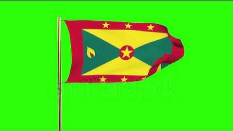 Grenada flag waving in the wind. Green screen, alpha matte. Loopable animation Stock video by