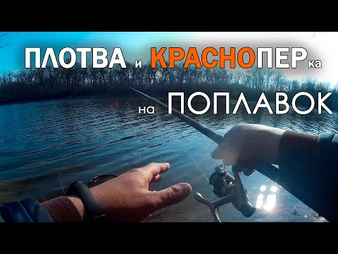 ПЛОТВА на ПОПЛАВОК