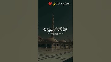 #قران_كريم_راحة_نفسية #الشيخ #القارئ #عبد_العزيز_سحيم #قرآن  #القران_الكريم #عبدالرحمن_سعد #fypシ゚