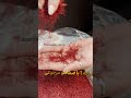 فرقی نمی کنه کجای ایران باشید از شمالی ترین نقط زعفرون کیفیت ایران ارسال سریع جدید قرمز ط 