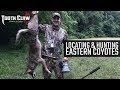 Locating and Hunting Eastern Coyotes