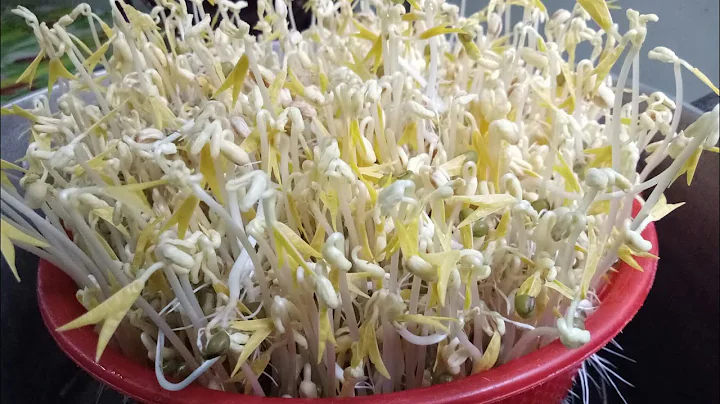 Top 16 huong dan lam giá