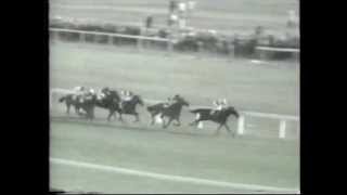 NIJINSKY wins the ST.LEGER at Doncaster. 1970