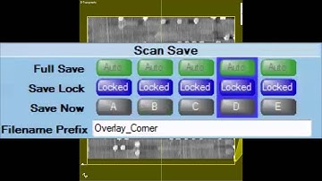 MultiProbe Atomic Force nanoProber (AFP-MP2): Synchronized Scanning