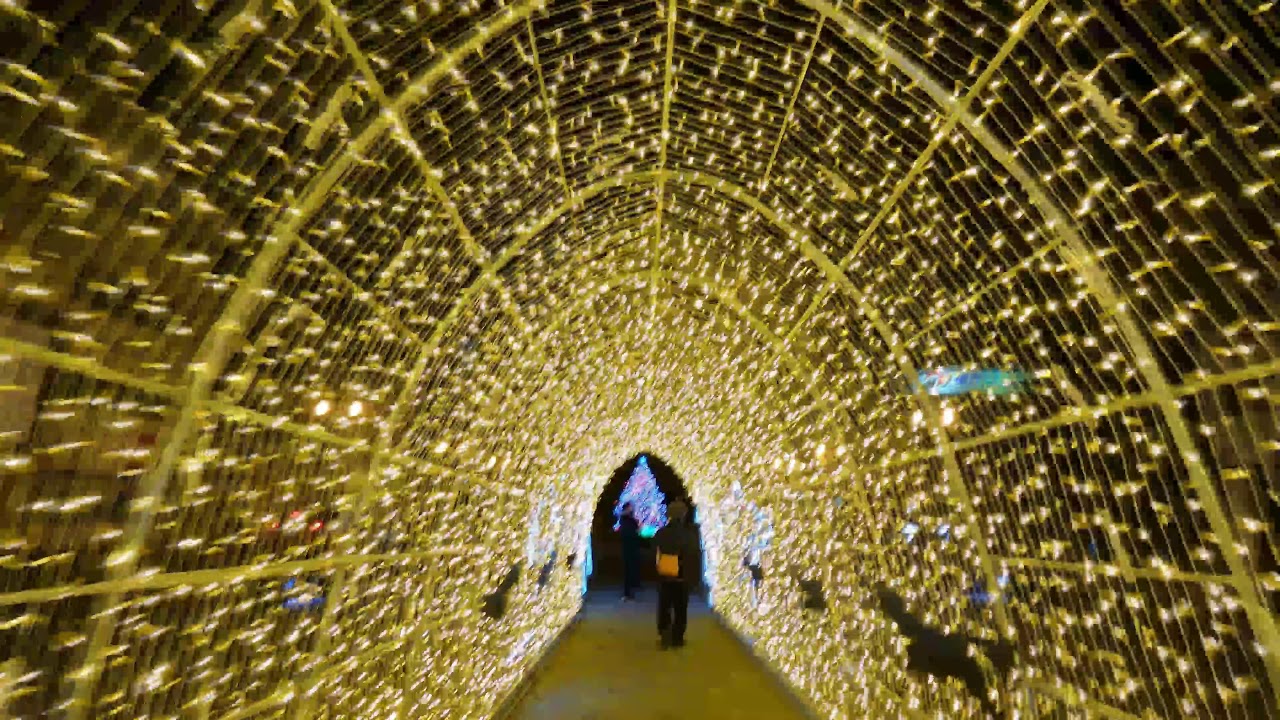 函館イルミネーション巡り はこだてグリーンプラザ光のトンネル編 Youtube