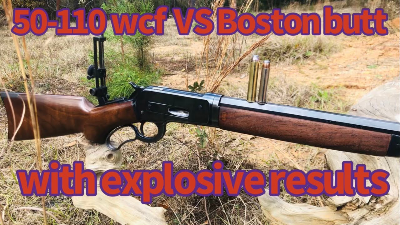 350 gr Hawk Bullet vs Boston butt from this 1886 Winchester in 50-110 caliber