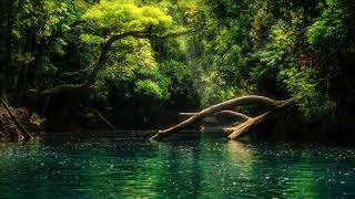 In Silence