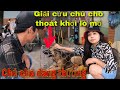 Giải Cứu Chú Chó Đáng Thương khỏi Bàn Tay Của Thợ Lò Mổ | SBATVC