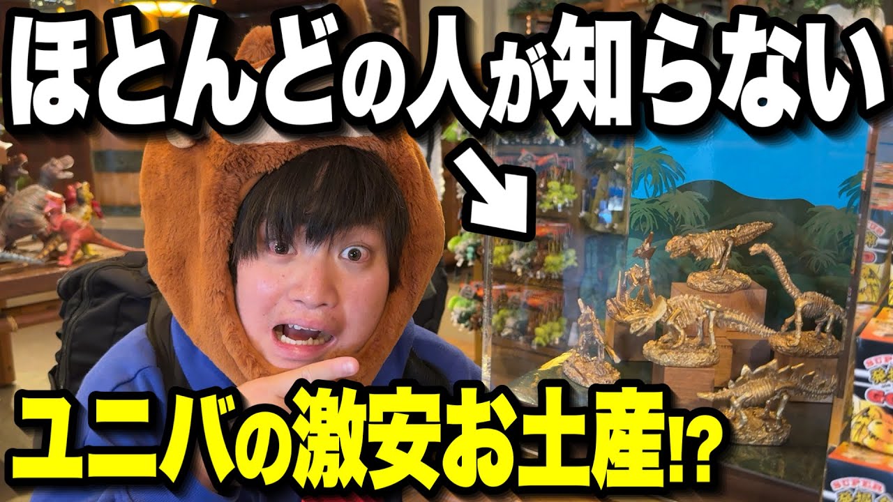 【衝撃グッズ】制限金額1000円以下でユニバグッズをお互い探しにいったら意外と良すぎた!!【USJ】