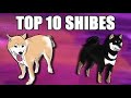 Top 10 Shibes (Apandah Reupload)