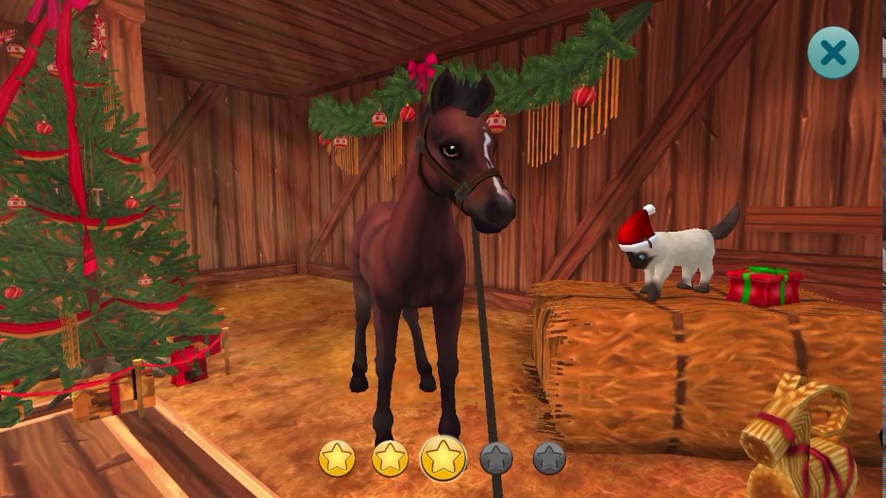 Star stable horses: Trener Thunderprincess (norsk)