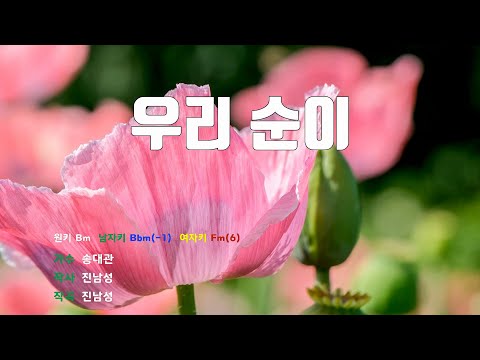 [은성 반주기] 우리순이 - 송대관
