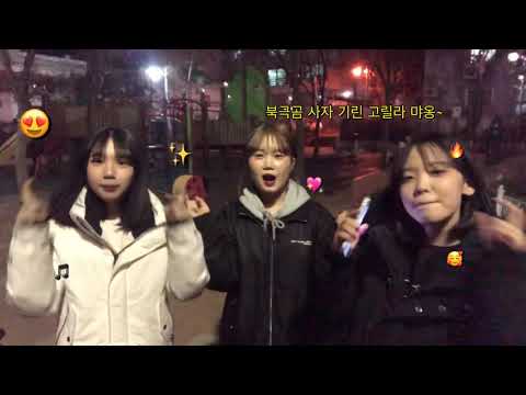 뿌잉로그
