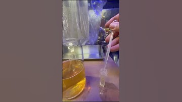 John Brewing measures the color of its Mexican Ale with the CIELab method, using Smart Analysis