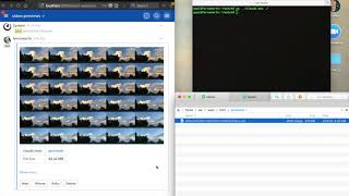 Mattermost Video Preview Script screenshot 5