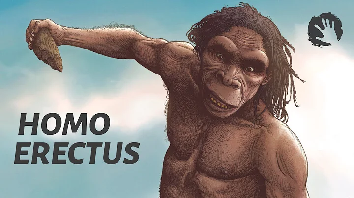 Homo Erectus - The First Humans - DayDayNews
