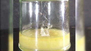 The self-assembly of a molecular water pipe in 3D space