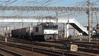 JR貨物 EF64-1036 貨物列車(1550レ 1000番台 大宮更新色) 稲沢駅 発車