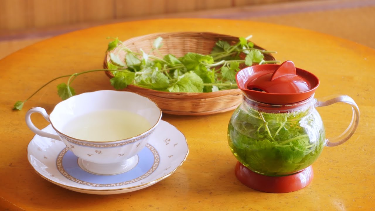 春の野草カキドオシを美味しく食べる方法とお茶にして飲む方法 これで健康生活 オトコ中村の楽しい毎日