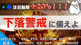 【BTC、ETH、XRP、BNB】注目銘柄＋20%！！！下落警戒に備えよ（2021年8月14日 相場分析）
