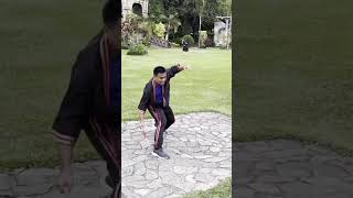 Celebrity Classical Strikes Combinations #arnis #art #eskrima #kali #escrima #martialarts Wealth