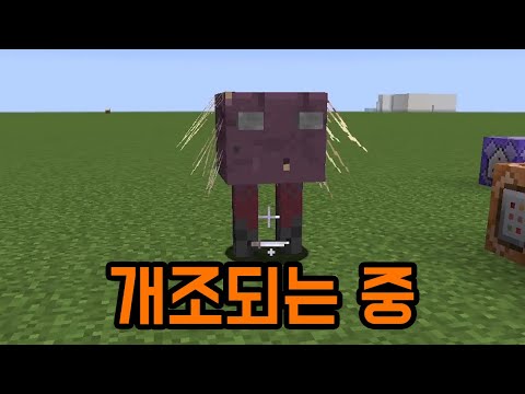 Forced to modify (Minecraft)