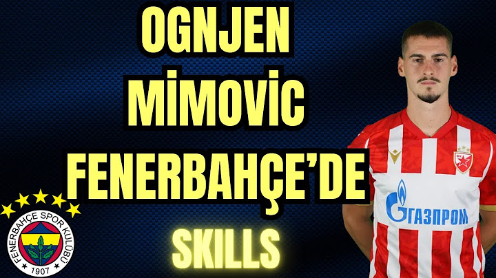 Ognjen Mimovic Skills.. FENERBAHÇE'NİN YENİ TRANSFERİ !