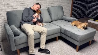 ONBRILL "Ultimate Guide to L Shaped Couches and Velvet Sectional Sofas"