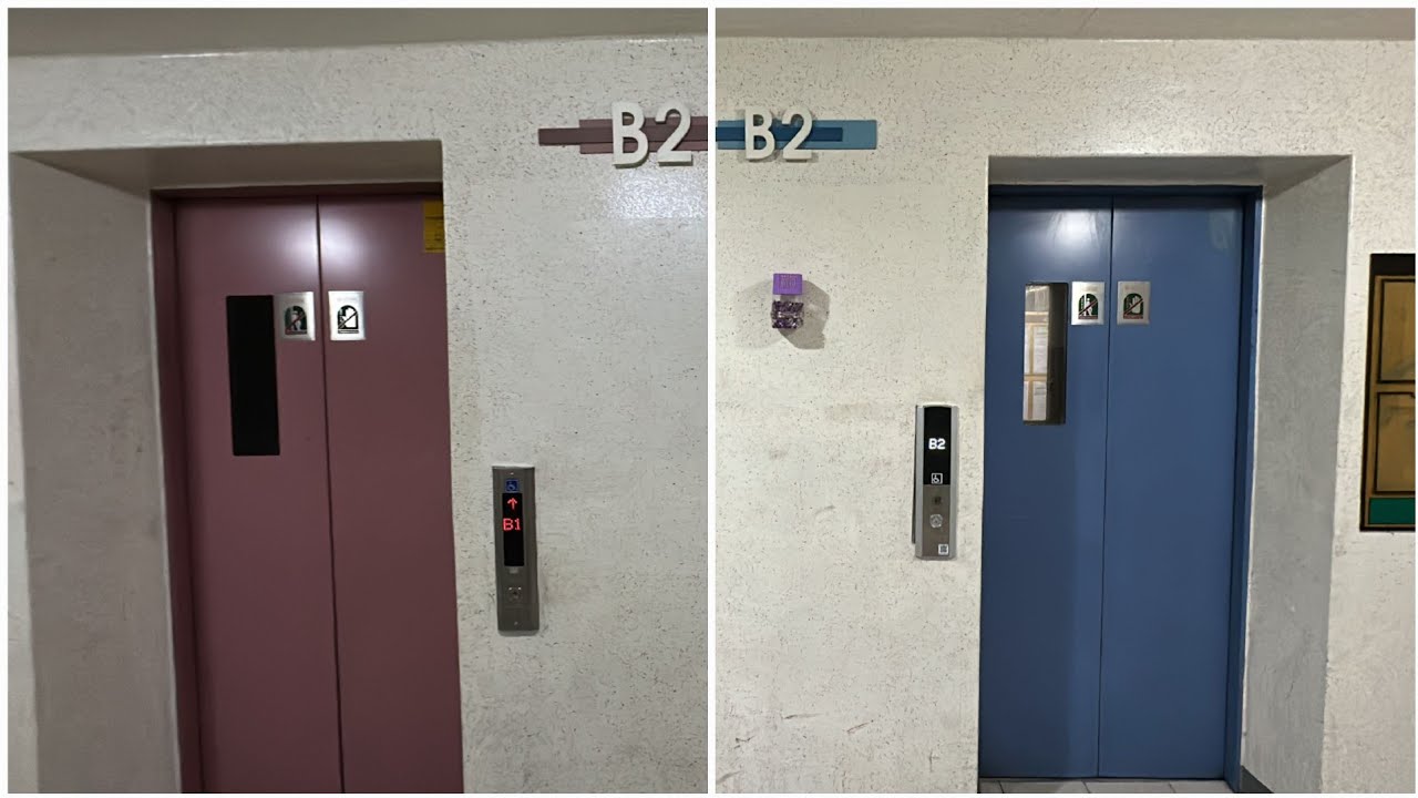 [특이한 알림음] 서울특별시 성동구 금호대우아파트 현대엘리베이터 탑사기