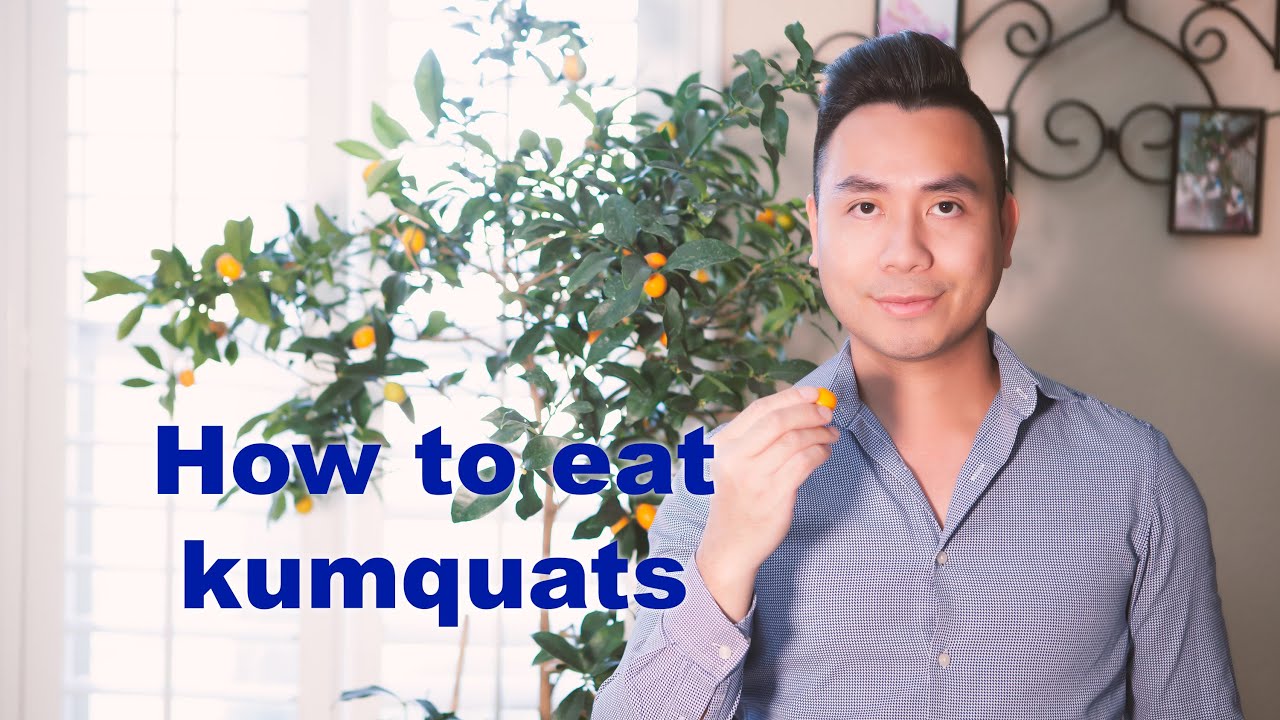 Unlocking the secrets of Kumquat MouthWatering way to enjoy this