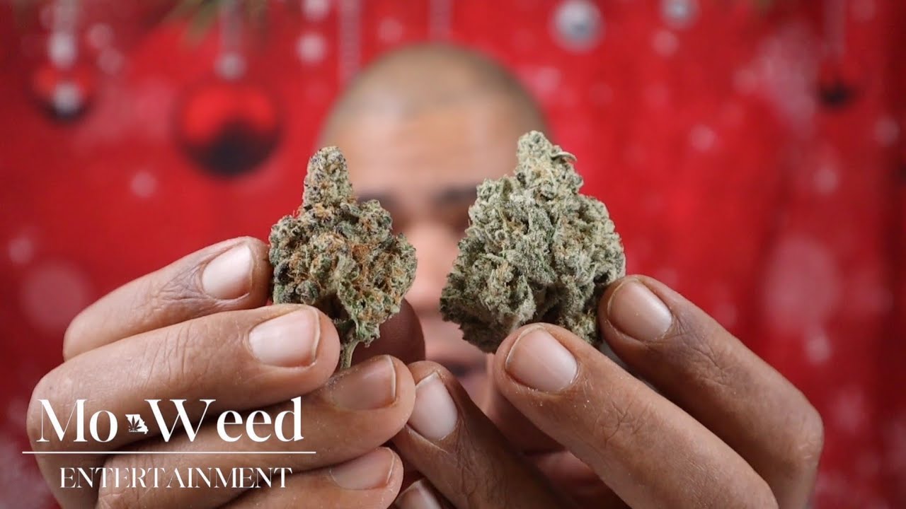 Dante's inferno X Cap Junky strain review TWO PHENOS