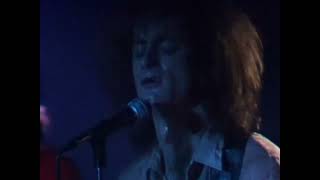 Watch Hoodoo Gurus Be My Guru video