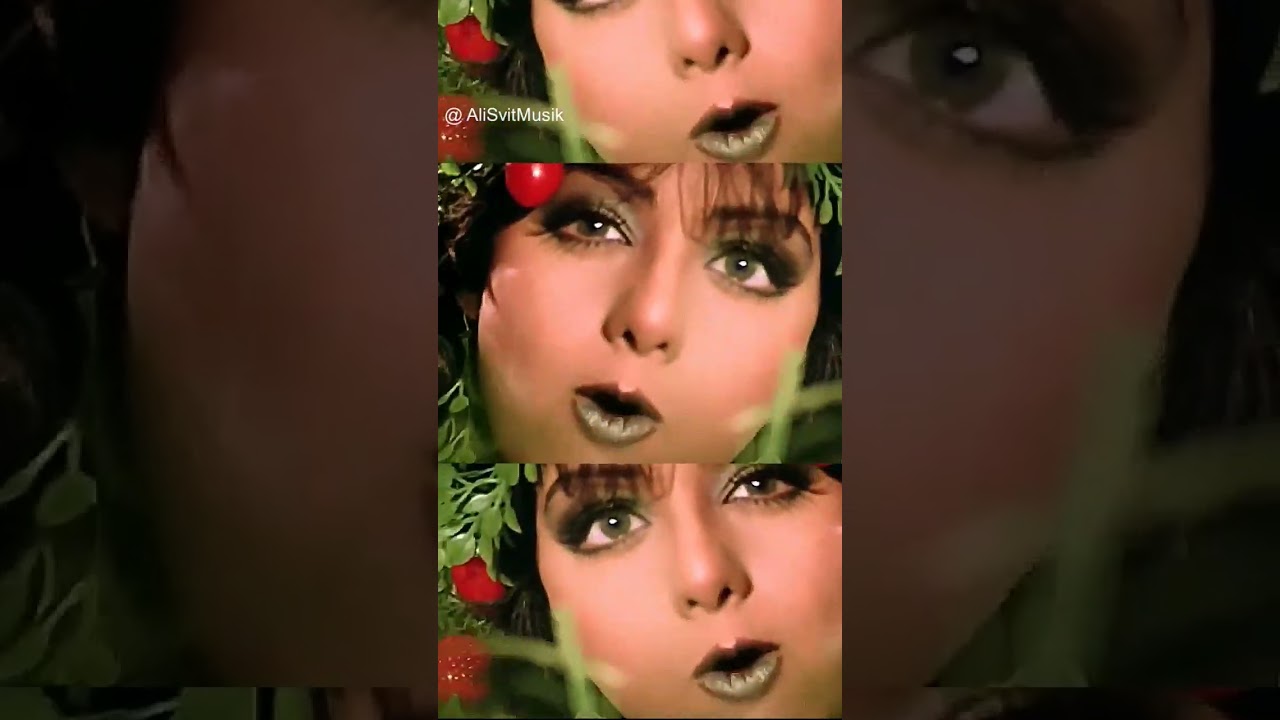 Sridevi, Sunny Deol - Tera Bemar Mera Dil