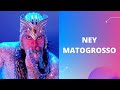 NEY MATOGROSSO 10 SUCESSOS NEY MATOGROSSO 10 SUCESSOS
