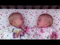 Identical twin girls engage in deep conversation