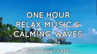 1 HR RELAX MUSIC WITH CALMING WAVES | VIEWS by IKSON | Therapeutic Sleep Music