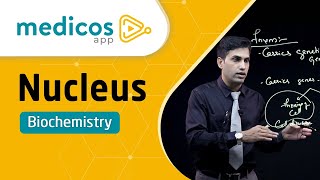 Nucleus Cell Biochemistry