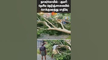 National Highway | Tree | Nagercoil | Kanniyakumari | Sun News