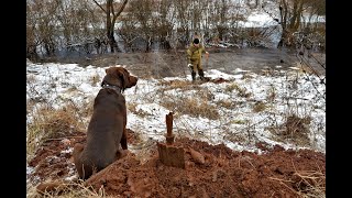 Раскапываем Немецкие Палатки В Зимнем Лесу (Excavations Of German Tents In The Winter Forest)