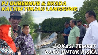 AKHIRNYA RISKA KEMBALI KEBONTANG ❓TEMPAT BARU BUAYA RISKA SUDAH DITINJAU PJ GUBERNUR & BKSDA KALTIM image