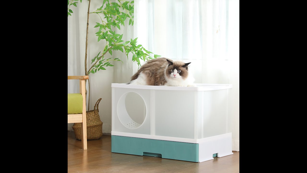 Discover the future of cat care with our patented extra-large modular ...